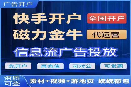 SEM主管实战：案例分析与优化策略